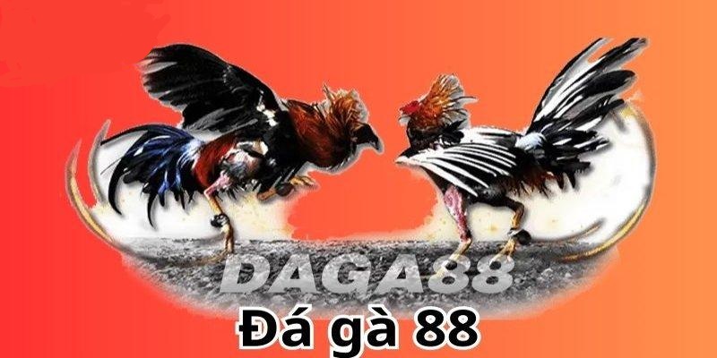 ĐÁ gà 88